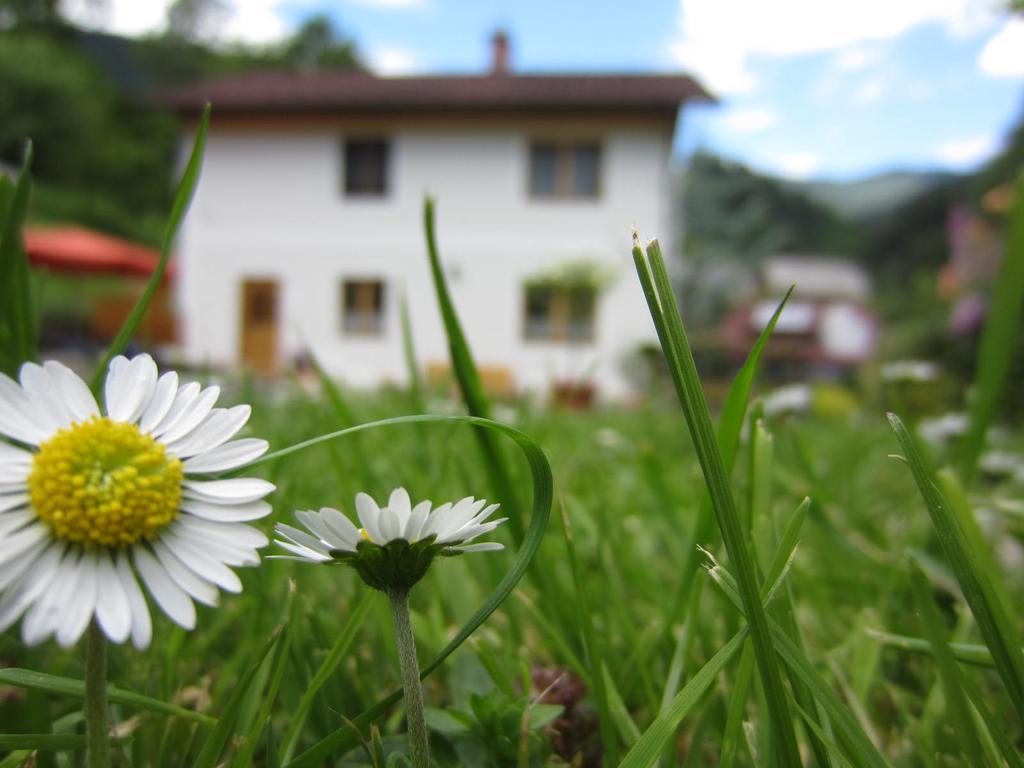Heidi'S Schlummerkiste Am Fuss Der Teichalm Breitenau am Hochlantsch Exterior foto