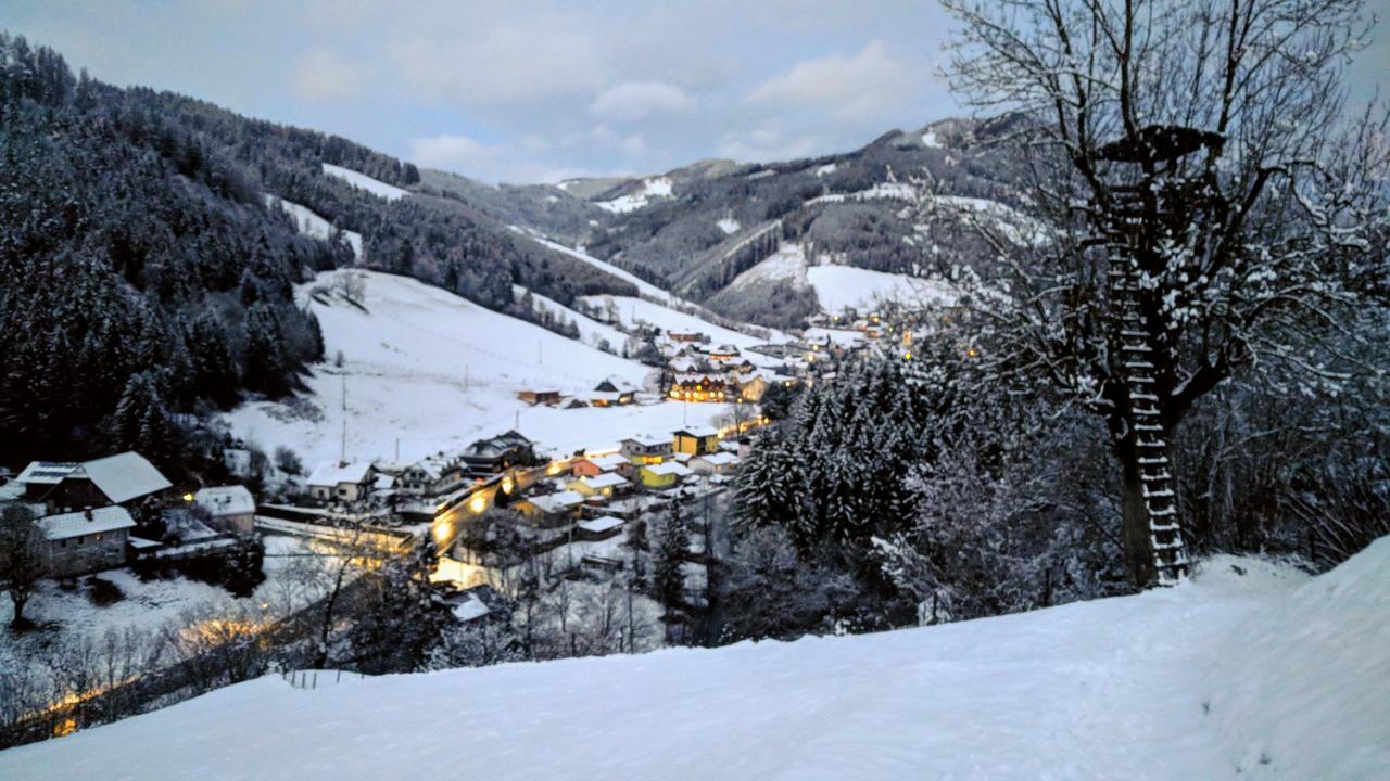 Heidi'S Schlummerkiste Am Fuss Der Teichalm Breitenau am Hochlantsch Exterior foto