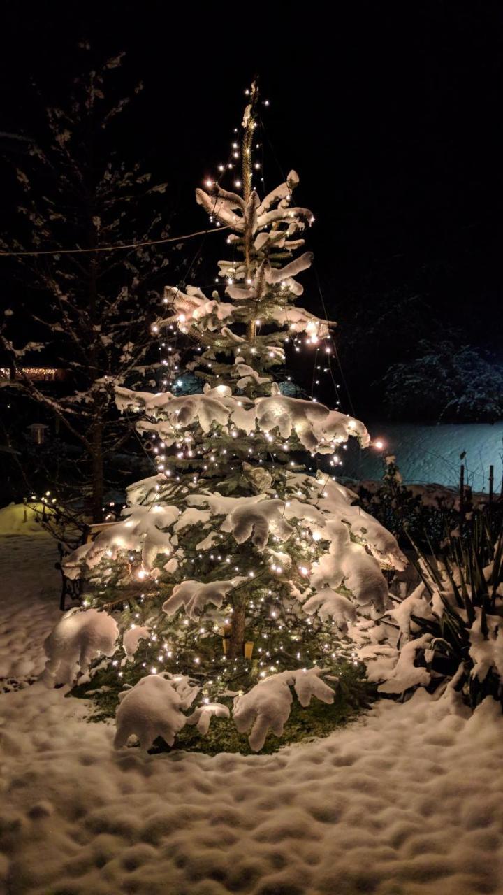 Heidi'S Schlummerkiste Am Fuss Der Teichalm Breitenau am Hochlantsch Exterior foto